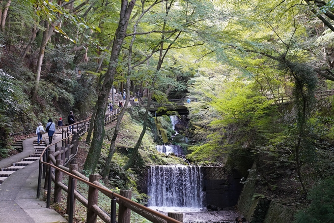 番外編_岐阜県_養老の滝　No16