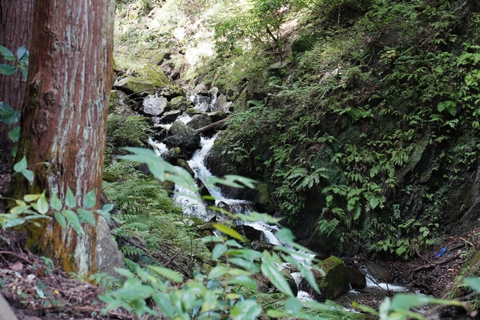 番外編_岐阜県_養老の滝　No17