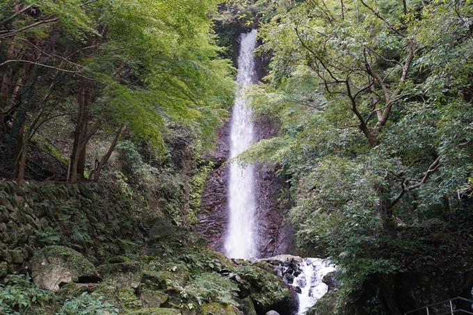 番外編_岐阜県_養老の滝　No19