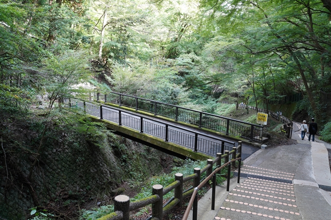 番外編_岐阜県_養老の滝　No24