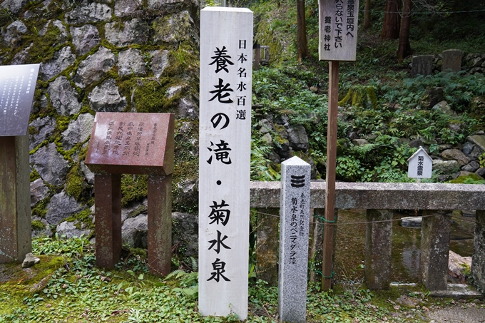 番外編_岐阜県_養老の滝　No41