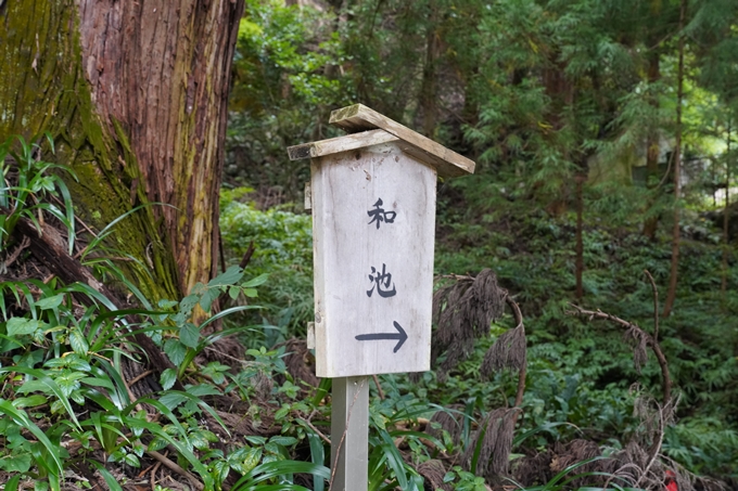 番外編_岐阜県_養老の滝　No48