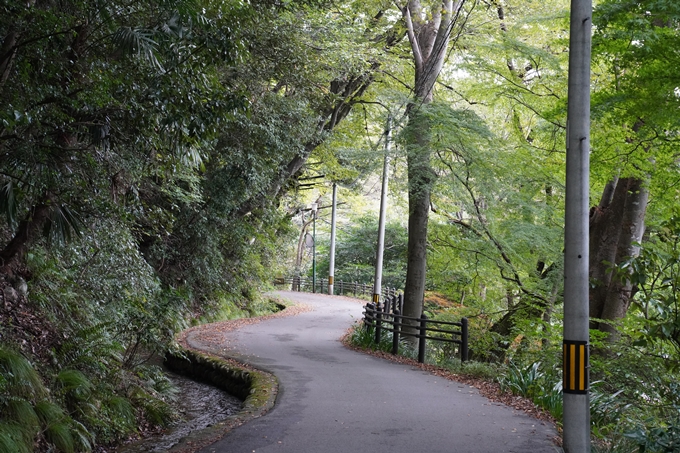 番外編_岐阜県_養老の滝　No51