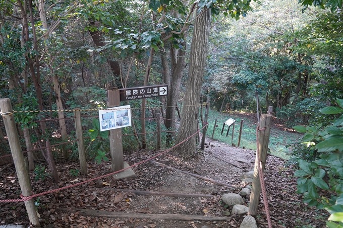 番外編_三重県_垂坂公園展望台　No9