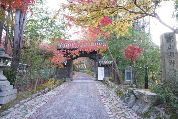 京都_紅葉_2020_赤山禅院　No3