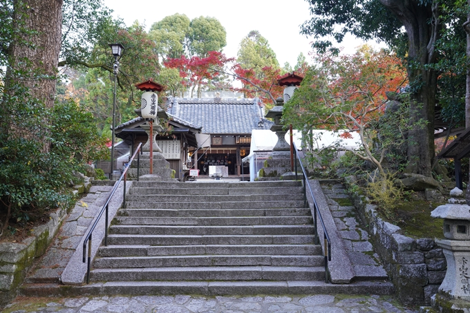 京都_紅葉_2020_赤山禅院　No5