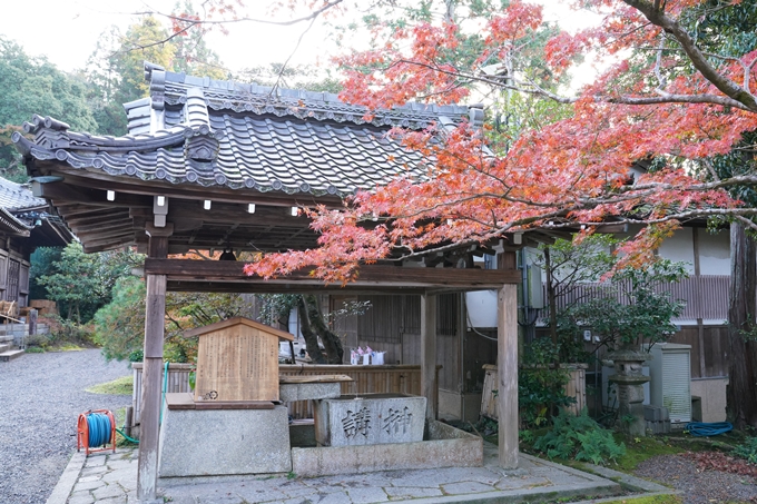 京都_紅葉_2020_赤山禅院　No6