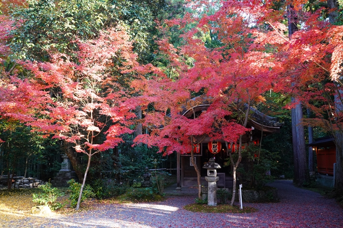 京都_紅葉_2020_赤山禅院　No17