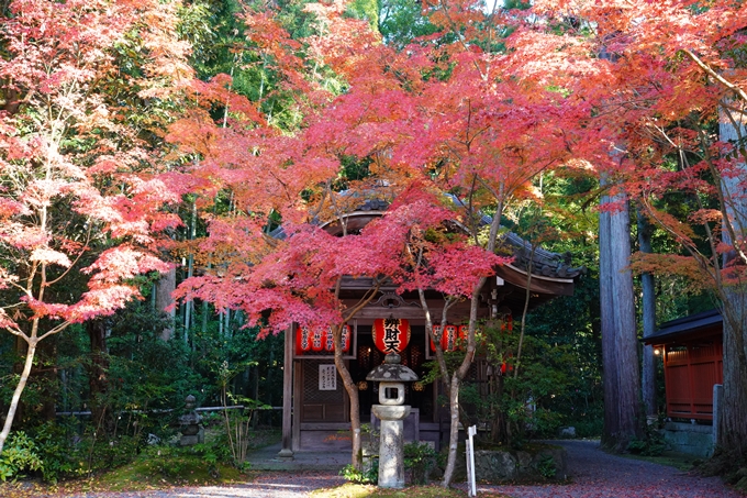 京都_紅葉_2020_赤山禅院　No23