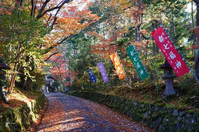 京都_紅葉_2020_赤山禅院　No30