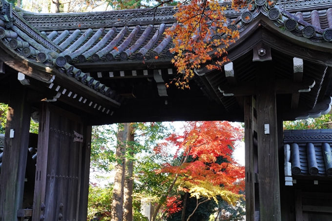 京都_紅葉_2020_赤山禅院　No31