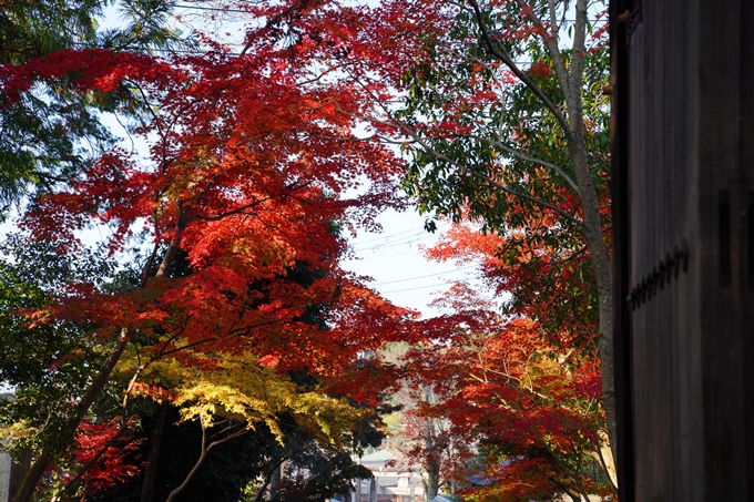 京都_紅葉_2020_赤山禅院　No32