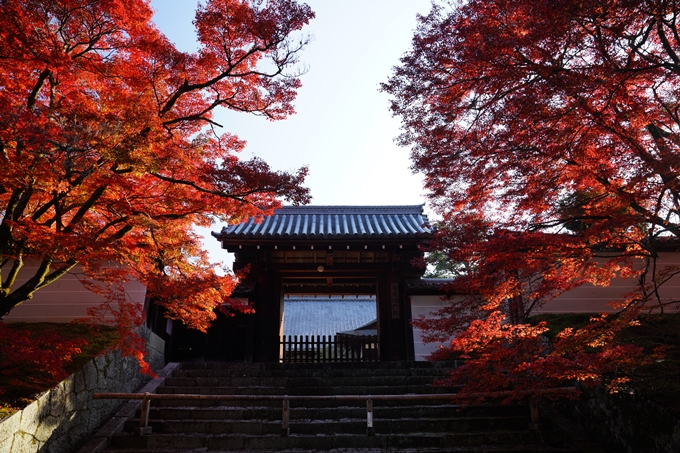 京都_紅葉_2020_曼殊院門跡　No9