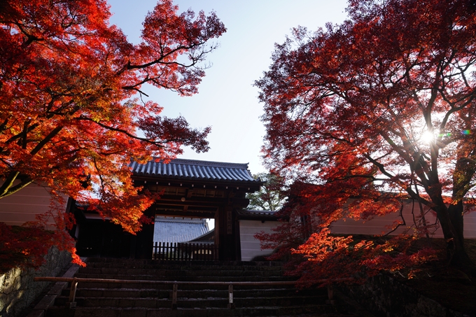 京都_紅葉_2020_曼殊院門跡　No11