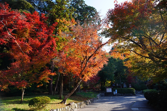 京都_紅葉_2020_鷺森神社　No3