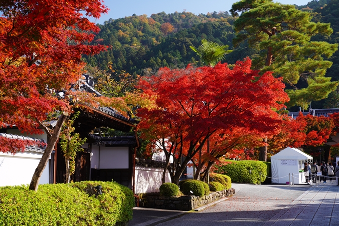 京都_紅葉_2020_永観堂　No3