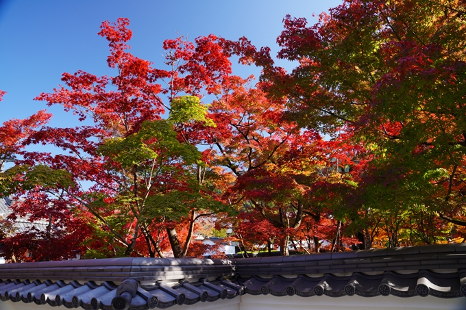 京都_紅葉_2020_永観堂　No10