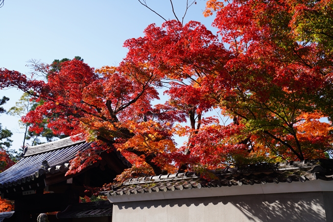 京都_紅葉_2020_南禅寺　No5