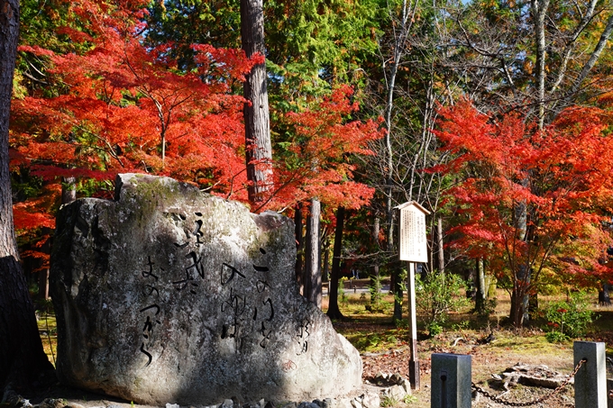 京都_紅葉_2020_南禅寺　No2