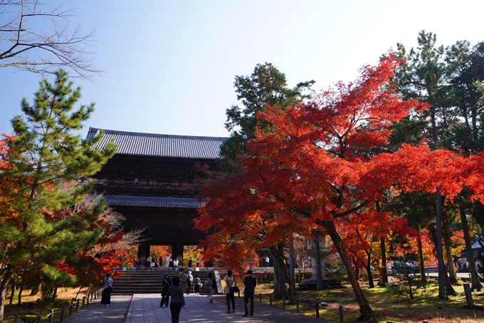 京都_紅葉_2020_南禅寺　No3