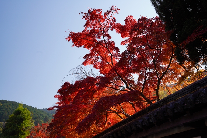 京都_紅葉_2020_南禅寺　No6