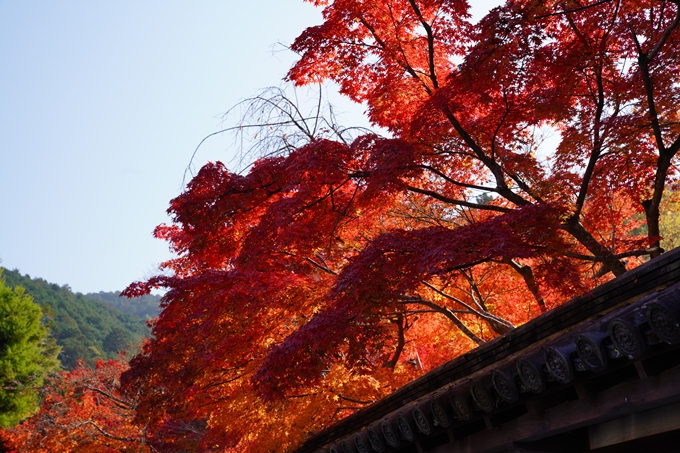 京都_紅葉_2020_南禅寺　No7