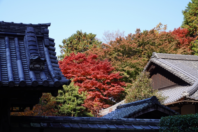 京都_紅葉_2020_最勝院　No4