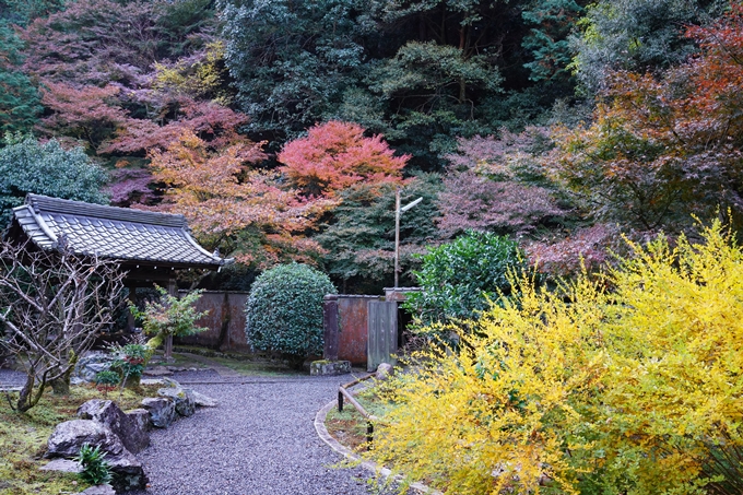 京都_紅葉_2020_最勝院　No6