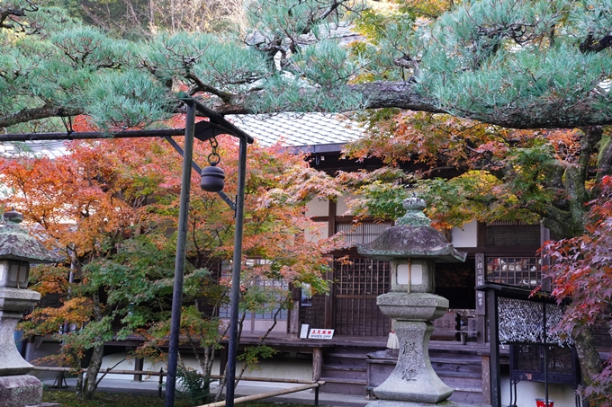 京都_紅葉_2020_最勝院　No7