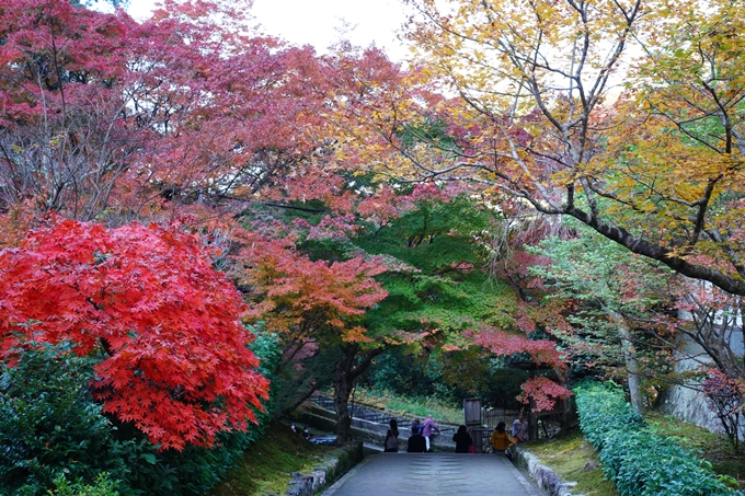 京都_紅葉_2020_最勝院　No8