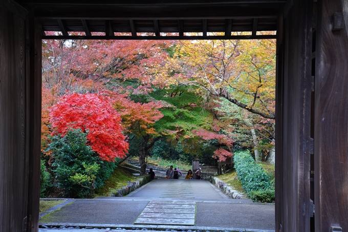 京都_紅葉_2020_最勝院　No9