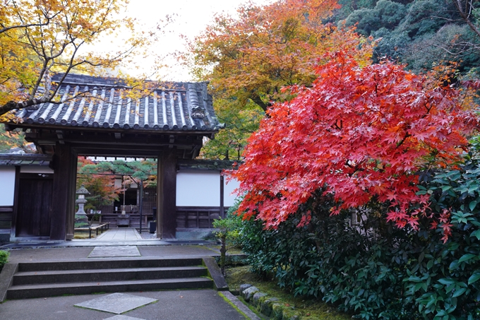 京都_紅葉_2020_最勝院　No2