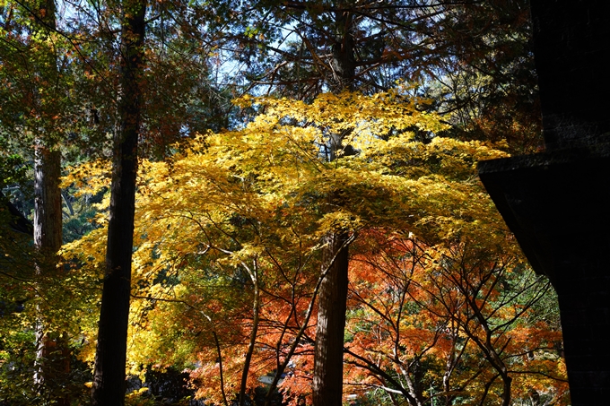 京都_紅葉_2020_南禅寺　No8