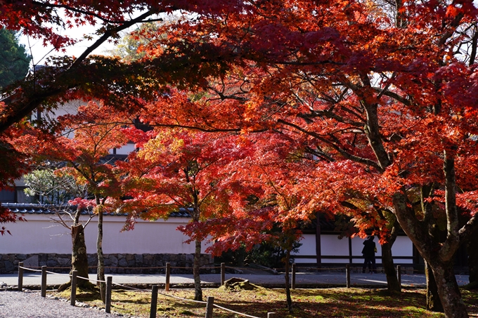 京都_紅葉_2020_南禅寺　No13