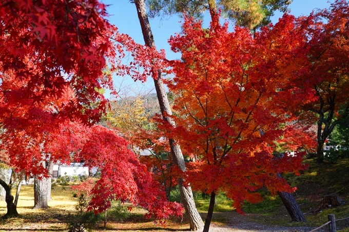 京都_紅葉_2020_南禅寺　No14