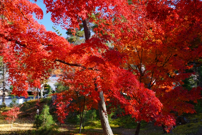 京都_紅葉_2020_南禅寺　No15