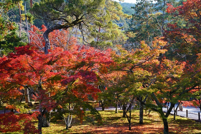 京都_紅葉_2020_南禅寺　No17