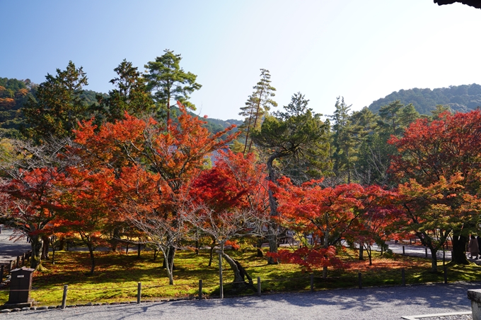 京都_紅葉_2020_南禅寺　No18