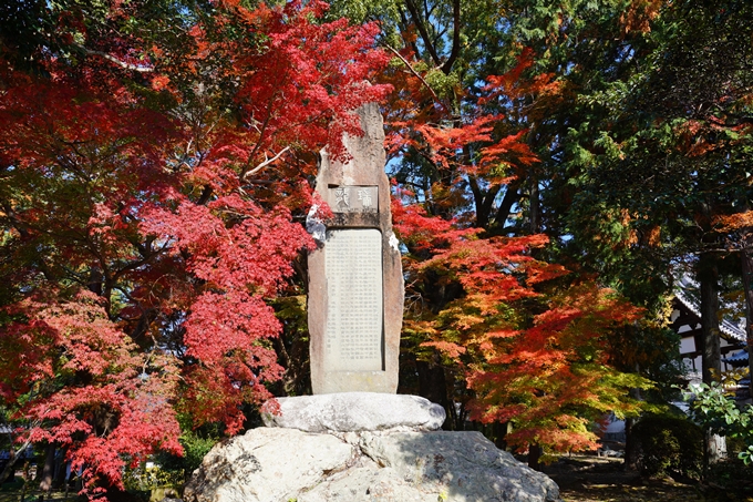 京都_紅葉_2020_南禅寺　No19