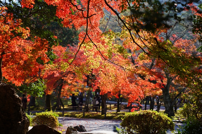 京都_紅葉_2020_南禅寺　No22