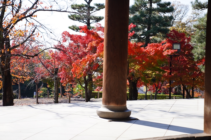 京都_紅葉_2020_金戒光明寺　No9