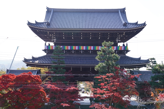 京都_紅葉_2020_金戒光明寺　No12