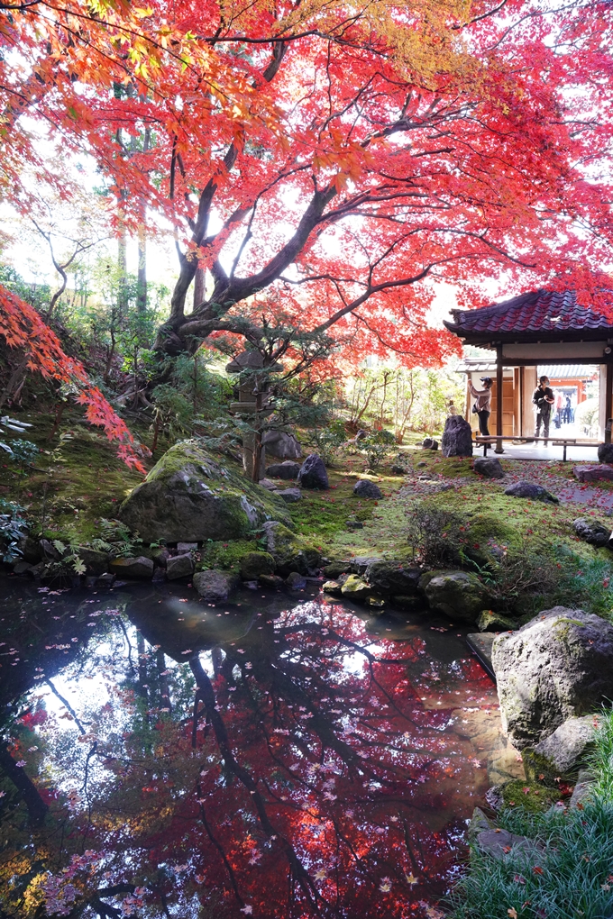 京都_紅葉_2020_栄摂院　No16