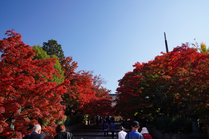 京都_紅葉_2020_真如堂　No4