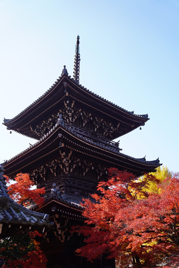 京都_紅葉_2020_真如堂　No13