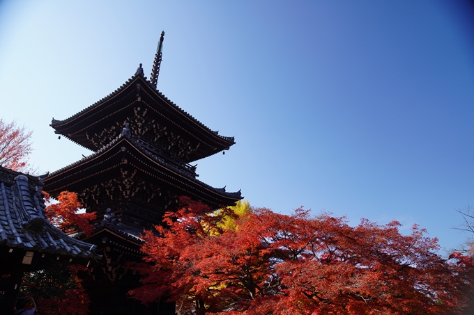 京都_紅葉_2020_真如堂　No14