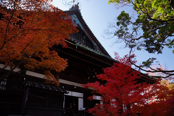 京都_紅葉_2020_真如堂　No19