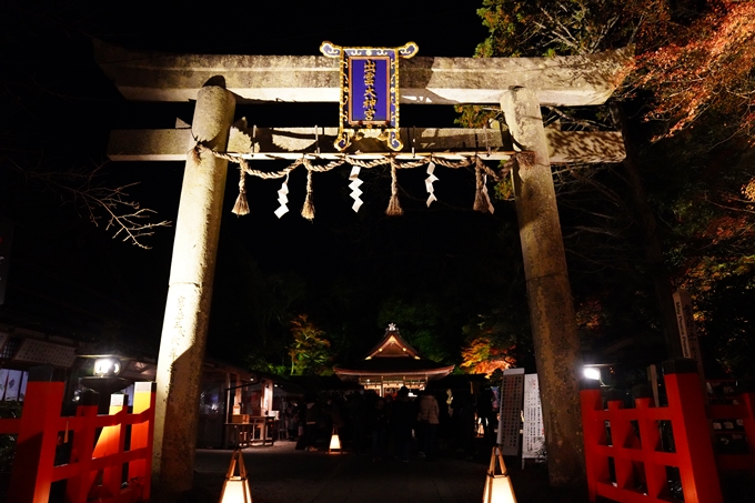 京都_紅葉_2020_出雲大神宮　No11