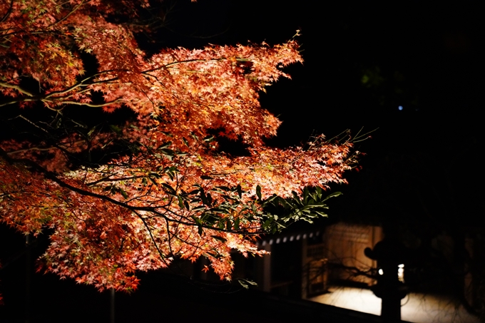 京都_紅葉_2020_出雲大神宮　No17