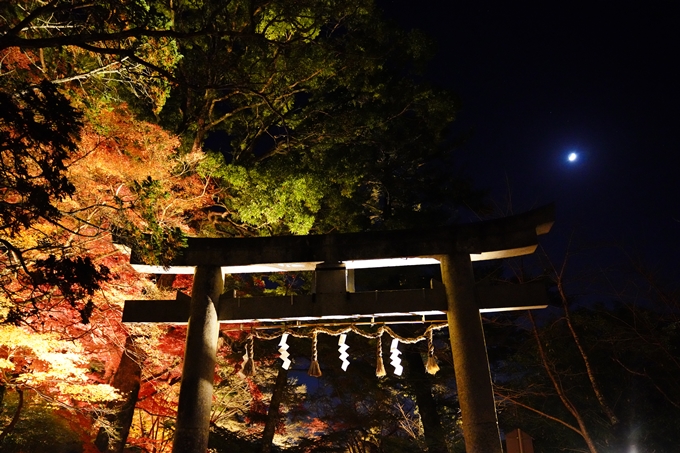 京都_紅葉_2020_出雲大神宮　No21